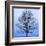 November Tree-James McLoughlin-Framed Art Print