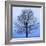 November Tree-James McLoughlin-Framed Art Print