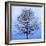 November Tree-James McLoughlin-Framed Art Print