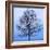 November Tree-James McLoughlin-Framed Art Print