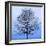 November Tree-James McLoughlin-Framed Art Print