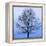 November Tree-James McLoughlin-Framed Stretched Canvas