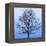 November Tree-James McLoughlin-Framed Stretched Canvas