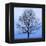 November Tree-James McLoughlin-Framed Stretched Canvas