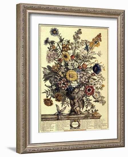 November-Robert Furber-Framed Art Print