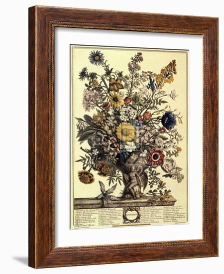 November-Robert Furber-Framed Art Print