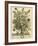 November-Robert Furber-Framed Giclee Print