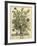 November-Robert Furber-Framed Giclee Print