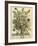 November-Robert Furber-Framed Giclee Print