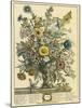 November-Robert Furber-Mounted Giclee Print