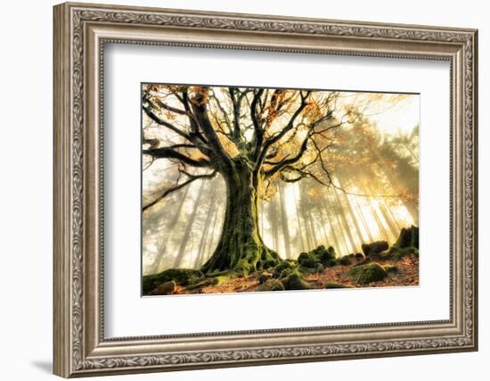 November-Christophe Kiciak-Framed Photographic Print