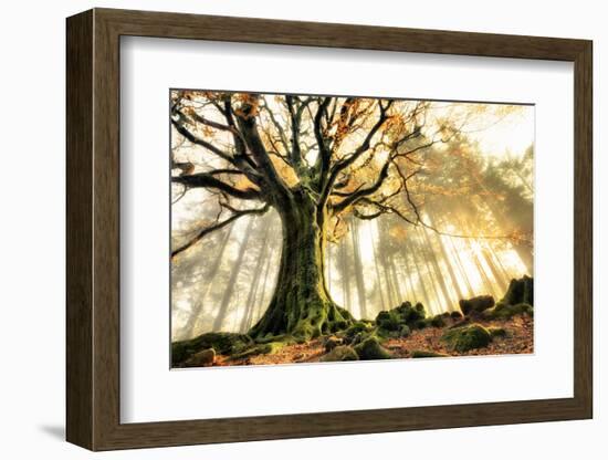 November-Christophe Kiciak-Framed Photographic Print