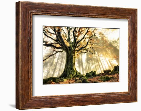 November-Christophe Kiciak-Framed Photographic Print