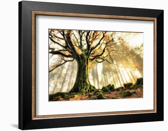 November-Christophe Kiciak-Framed Photographic Print