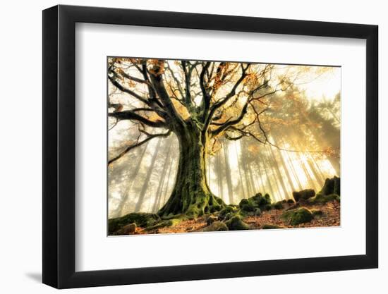 November-Christophe Kiciak-Framed Photographic Print