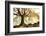 November-Christophe Kiciak-Framed Photographic Print