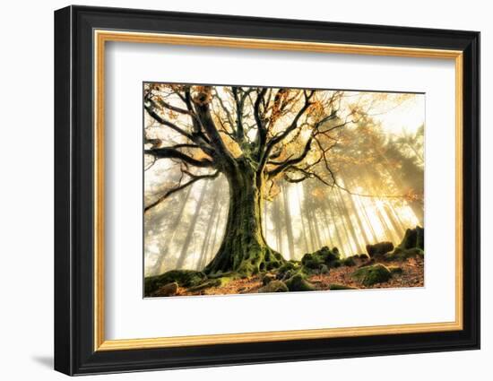 November-Christophe Kiciak-Framed Photographic Print