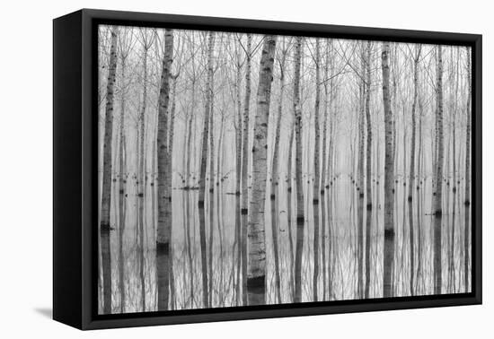 Novembre 2014-Aglioni Simone-Framed Premier Image Canvas