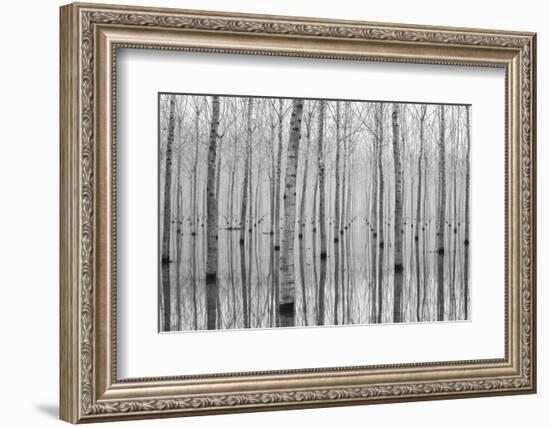 Novembre 2014-Aglioni Simone-Framed Photographic Print