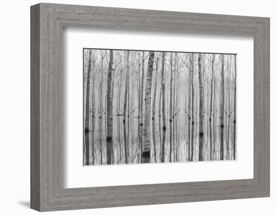 Novembre 2014-Aglioni Simone-Framed Photographic Print