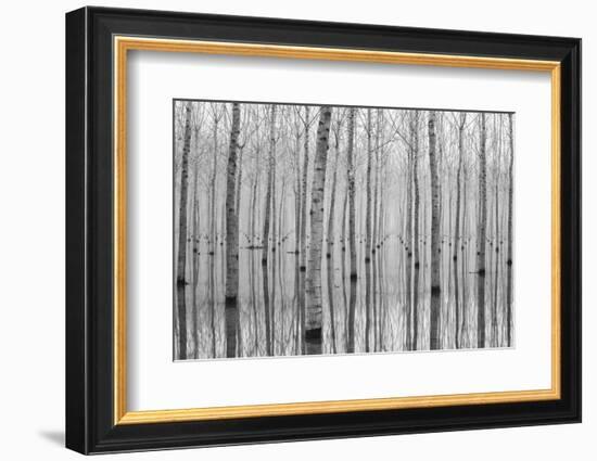 Novembre 2014-Aglioni Simone-Framed Photographic Print