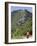 Novice Monk Walking Along Road to Sangachoeling Gompa, Pelling, Sikkim, India-Jane Sweeney-Framed Photographic Print