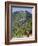 Novice Monk Walking Along Road to Sangachoeling Gompa, Pelling, Sikkim, India-Jane Sweeney-Framed Photographic Print