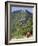 Novice Monk Walking Along Road to Sangachoeling Gompa, Pelling, Sikkim, India-Jane Sweeney-Framed Photographic Print