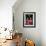 Novice Monk with Food Bowl and Utensils at Pathain Monastery, Sittwe, Burma, Myanmar-Nigel Pavitt-Framed Photographic Print displayed on a wall