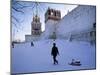 Novodevichy, Moscow, Russia-Demetrio Carrasco-Mounted Photographic Print