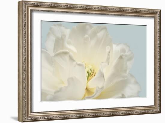 Now Serene-Julie Greenwood-Framed Art Print