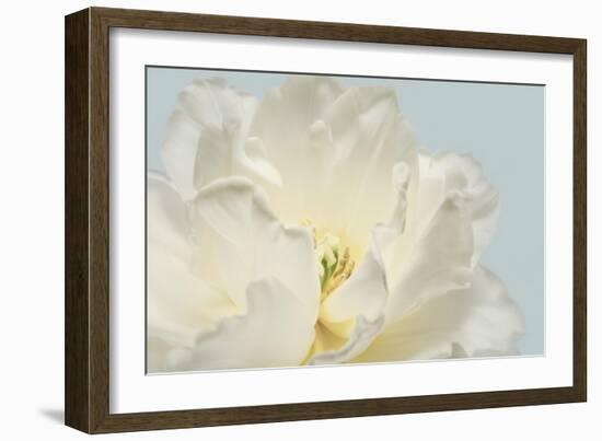 Now Serene-Julie Greenwood-Framed Art Print