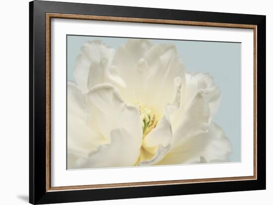 Now Serene-Julie Greenwood-Framed Art Print