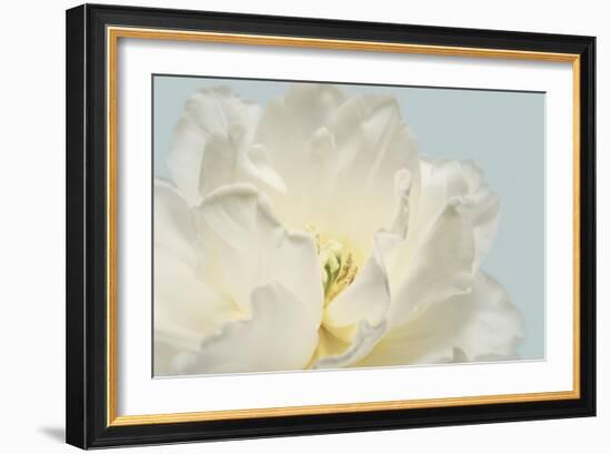 Now Serene-Julie Greenwood-Framed Art Print