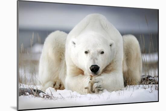 Now That You Wake Me Up Is Better for You to Start Running-Alberto Ghizzi Panizza-Mounted Photographic Print