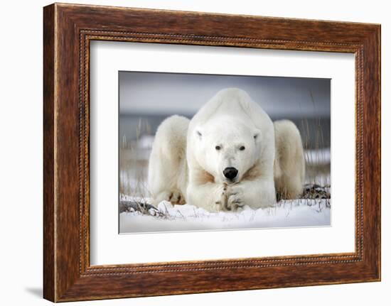 Now That You Wake Me Up Is Better for You to Start Running-Alberto Ghizzi Panizza-Framed Photographic Print