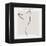 Now You See Me-Gabriella Roberg-Framed Premier Image Canvas