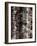 Nowhere far Xv.-Petr Strnad-Framed Photographic Print