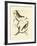 Nozeman Birds II-Nozeman-Framed Art Print