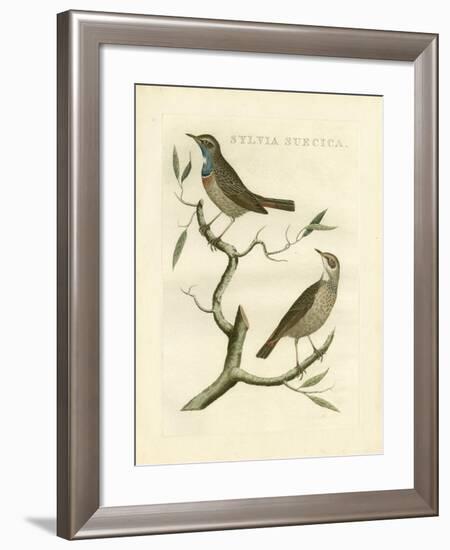 Nozeman Birds II-Nozeman-Framed Art Print