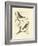 Nozeman Birds II-Nozeman-Framed Art Print