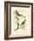 Nozeman Birds II-Nozeman-Framed Art Print