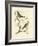 Nozeman Birds II-Nozeman-Framed Art Print