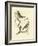 Nozeman Birds II-Nozeman-Framed Art Print