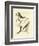 Nozeman Birds II-Nozeman-Framed Art Print