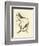 Nozeman Birds II-Nozeman-Framed Art Print