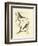 Nozeman Birds II-Nozeman-Framed Art Print