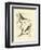 Nozeman Birds II-Nozeman-Framed Art Print