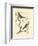 Nozeman Birds II-Nozeman-Framed Art Print