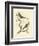 Nozeman Birds II-Nozeman-Framed Art Print